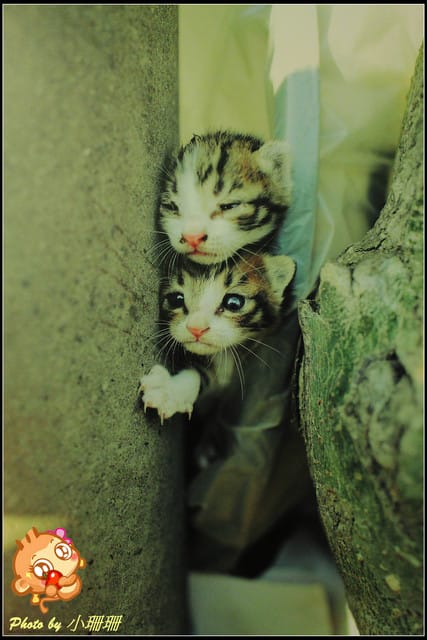 《隨拍—台北》『你在哪裡』體驗攝影展