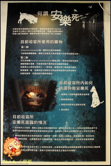 《隨拍—台北》『你在哪裡』體驗攝影展