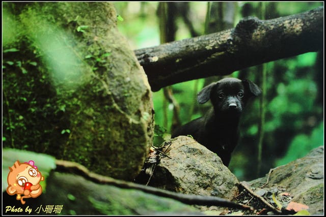 《隨拍—台北》『你在哪裡』體驗攝影展