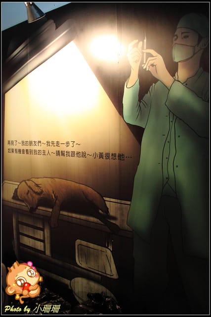 《隨拍—台北》『你在哪裡』體驗攝影展