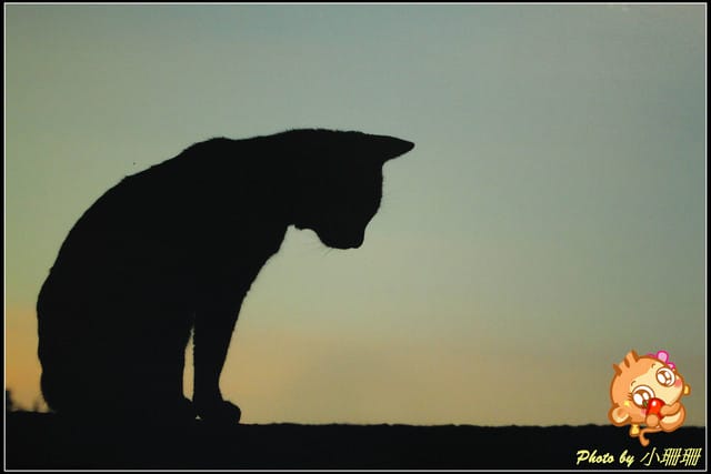 《隨拍—台北》『你在哪裡』體驗攝影展