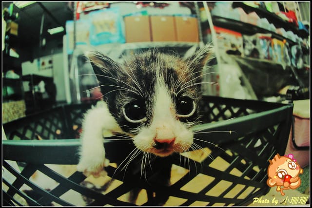 《隨拍—台北》『你在哪裡』體驗攝影展