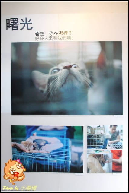 《隨拍—台北》『你在哪裡』體驗攝影展