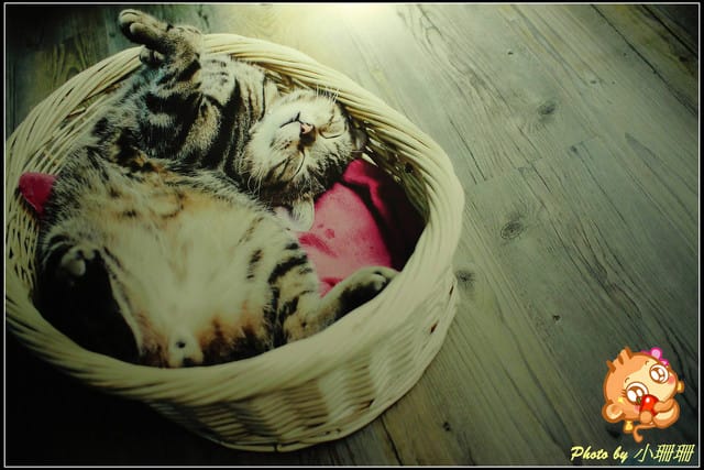 《隨拍—台北》『你在哪裡』體驗攝影展