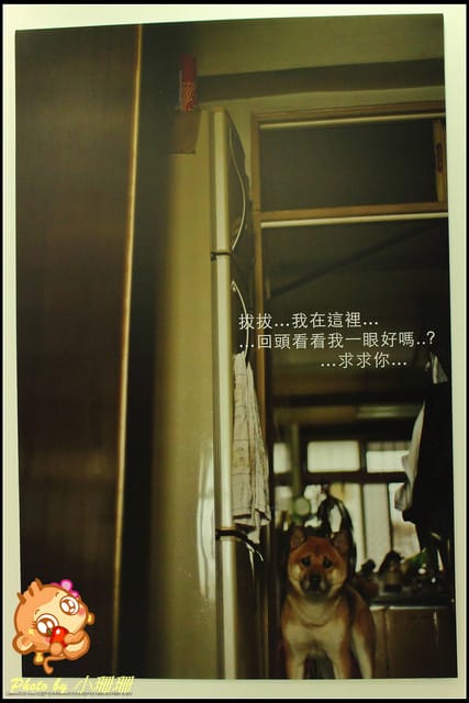 《隨拍—台北》『你在哪裡』體驗攝影展