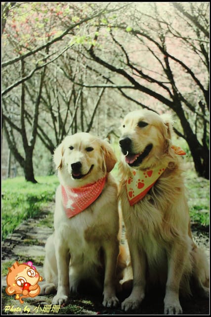 《隨拍—台北》『你在哪裡』體驗攝影展