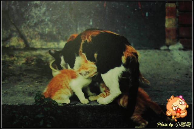 《隨拍—台北》『你在哪裡』體驗攝影展