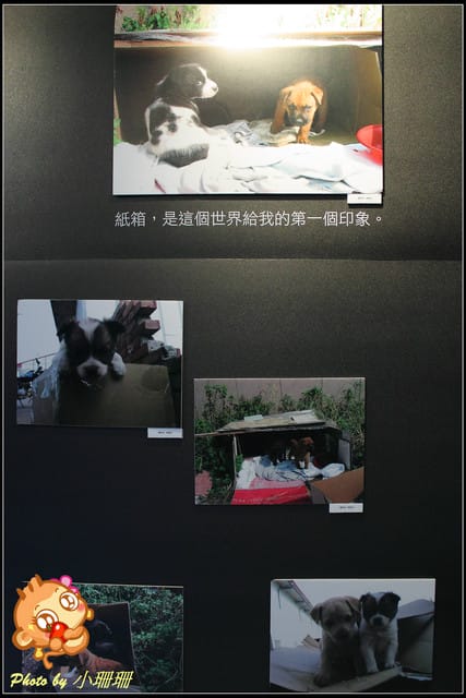 《隨拍—台北》『你在哪裡』體驗攝影展