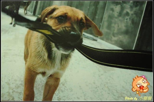 《隨拍—台北》『你在哪裡』體驗攝影展