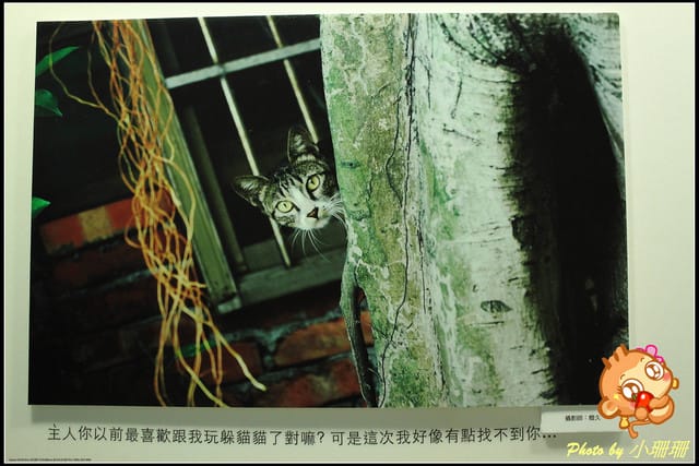 《隨拍—台北》『你在哪裡』體驗攝影展