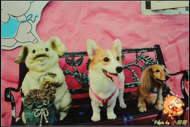 《隨拍—台北》『你在哪裡』體驗攝影展