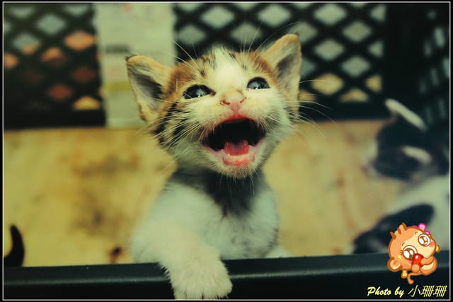 《隨拍—台北》『你在哪裡』體驗攝影展