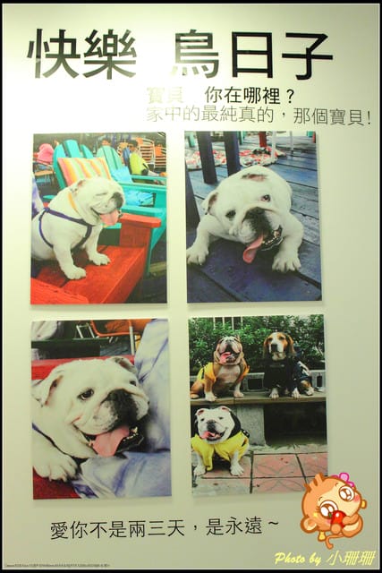 《隨拍—台北》『你在哪裡』體驗攝影展