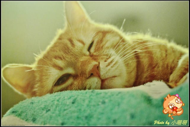 《隨拍—台北》『你在哪裡』體驗攝影展