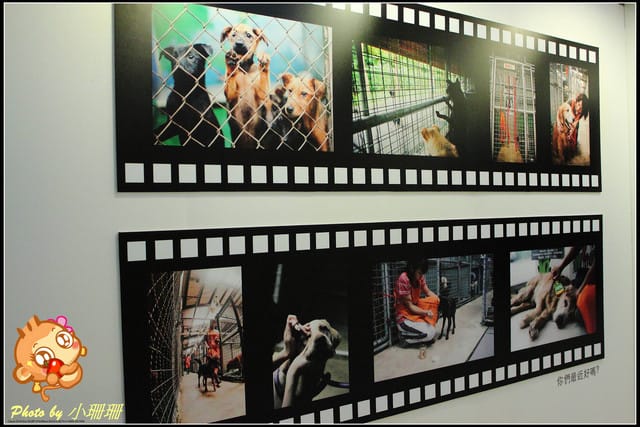 《隨拍—台北》『你在哪裡』體驗攝影展