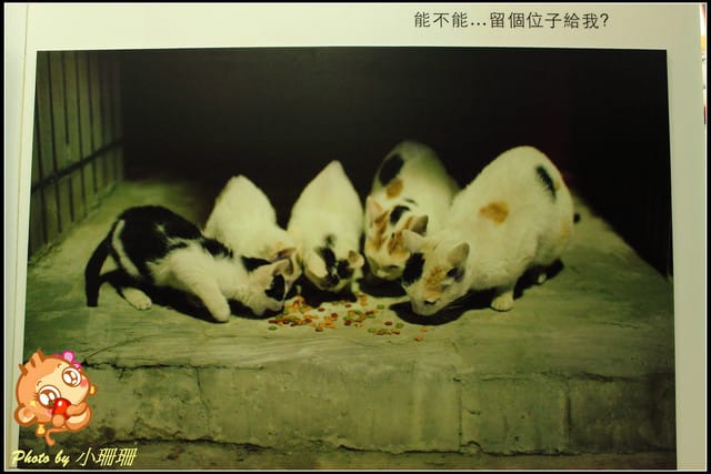 《隨拍—台北》『你在哪裡』體驗攝影展