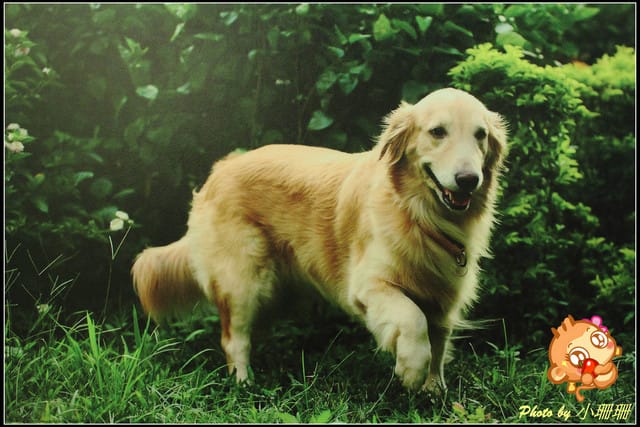 《隨拍—台北》『你在哪裡』體驗攝影展