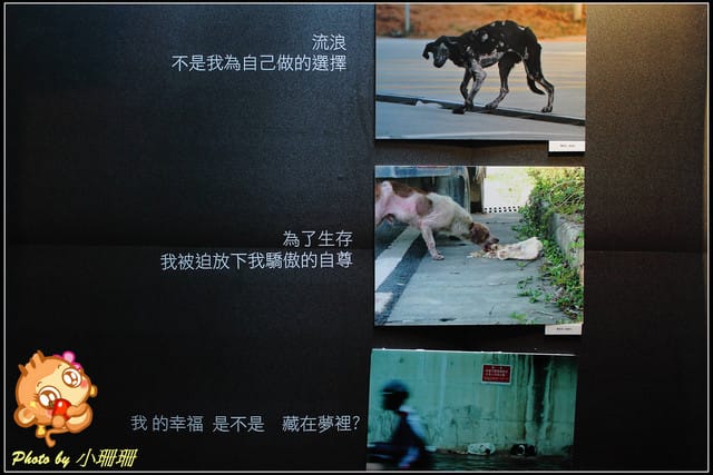 《隨拍—台北》『你在哪裡』體驗攝影展