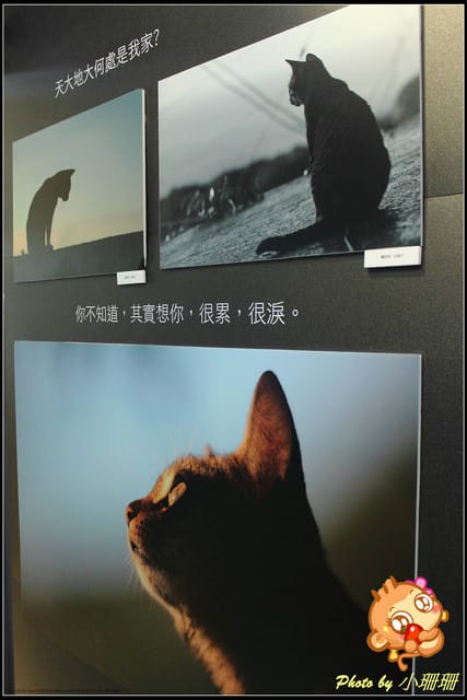 《隨拍—台北》『你在哪裡』體驗攝影展