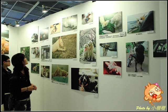 《隨拍—台北》『你在哪裡』體驗攝影展