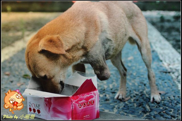 《隨拍—台北》『你在哪裡』體驗攝影展