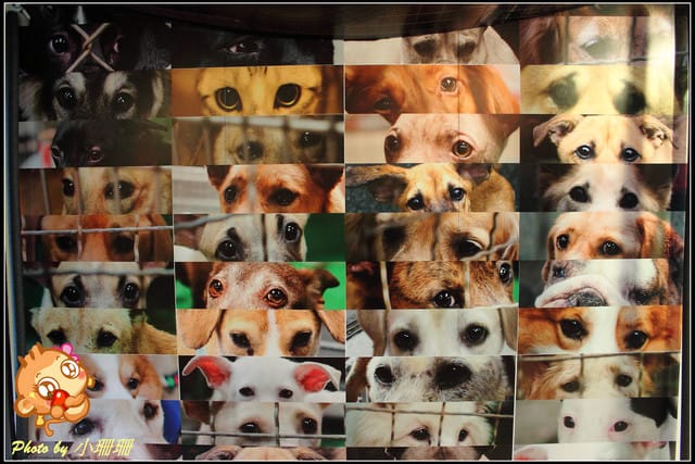 《隨拍—台北》『你在哪裡』體驗攝影展