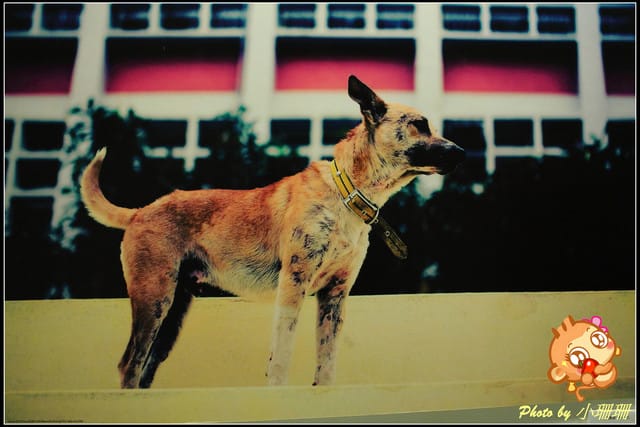 《隨拍—台北》『你在哪裡』體驗攝影展