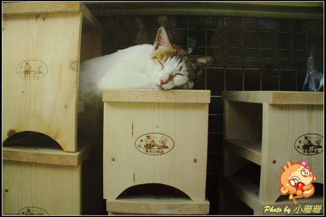 《隨拍—台北》『你在哪裡』體驗攝影展