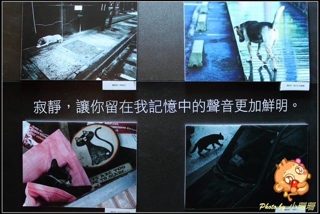 《隨拍—台北》『你在哪裡』體驗攝影展