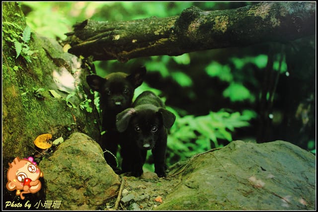 《隨拍—台北》『你在哪裡』體驗攝影展