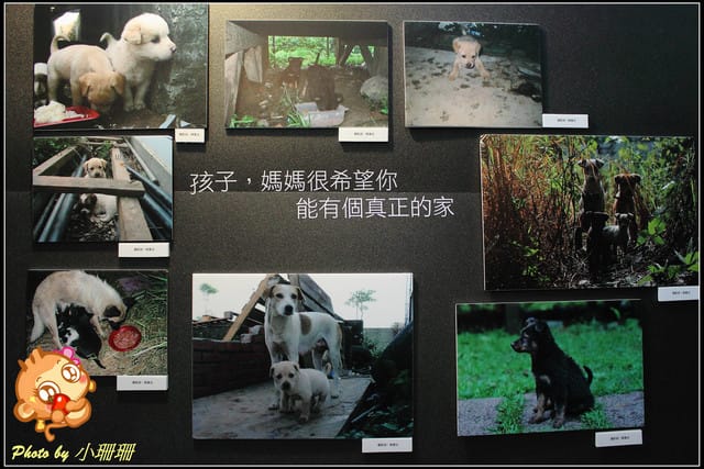 《隨拍—台北》『你在哪裡』體驗攝影展