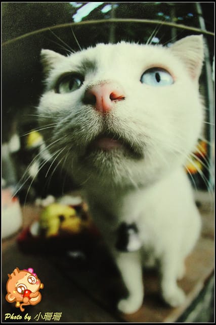 《隨拍—台北》『你在哪裡』體驗攝影展