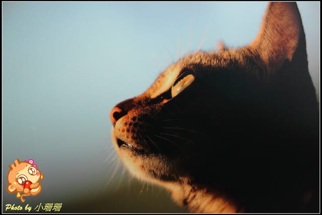 《隨拍—台北》『你在哪裡』體驗攝影展