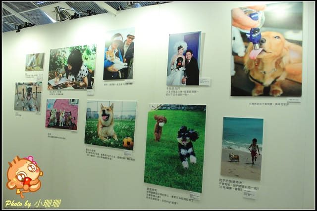 《隨拍—台北》『你在哪裡』體驗攝影展