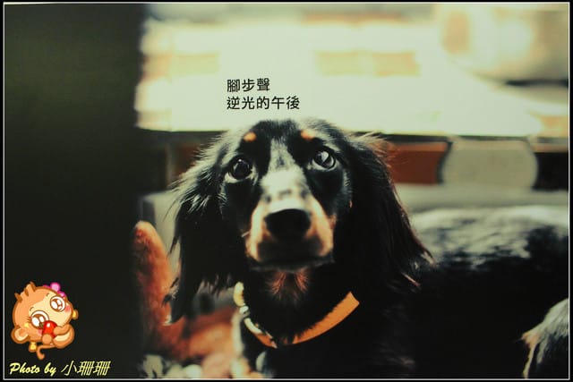 《隨拍—台北》『你在哪裡』體驗攝影展