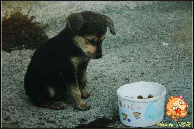 《隨拍—台北》『你在哪裡』體驗攝影展