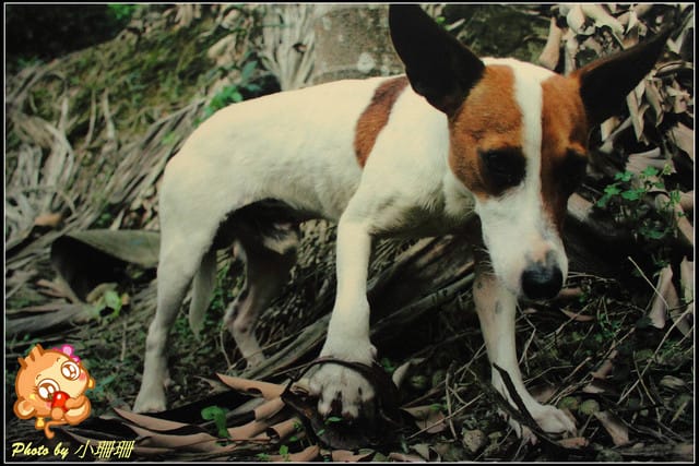 《隨拍—台北》『你在哪裡』體驗攝影展