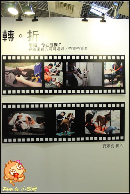 《隨拍—台北》『你在哪裡』體驗攝影展