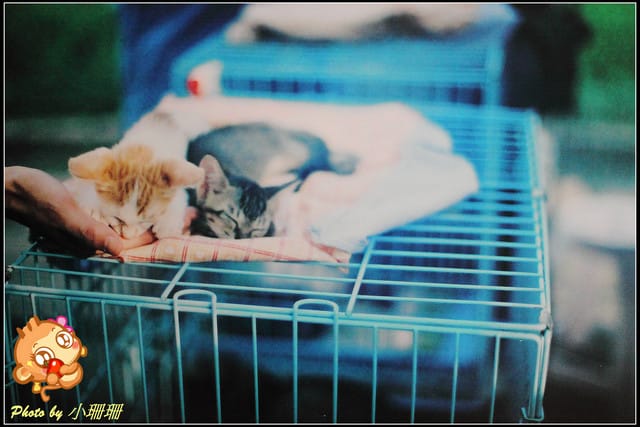 《隨拍—台北》『你在哪裡』體驗攝影展