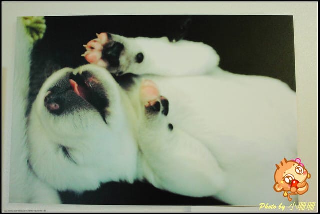 《隨拍—台北》『你在哪裡』體驗攝影展