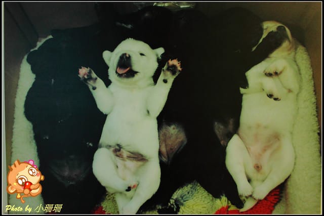 《隨拍—台北》『你在哪裡』體驗攝影展