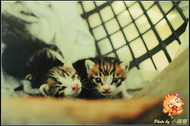 《隨拍—台北》『你在哪裡』體驗攝影展