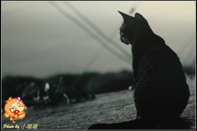 《隨拍—台北》『你在哪裡』體驗攝影展