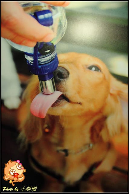 《隨拍—台北》『你在哪裡』體驗攝影展