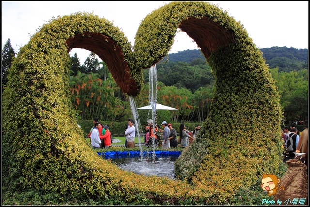 《遊記—台北》2011士林官邸菊展～菊與詩的對話