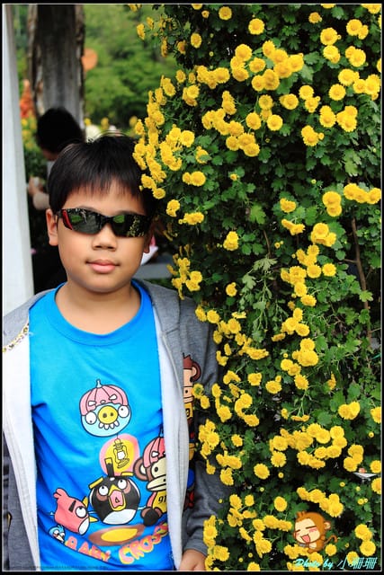 《遊記—台北》2011士林官邸菊展～菊與詩的對話