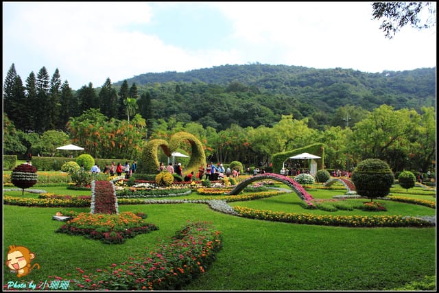 《遊記—台北》2011士林官邸菊展～菊與詩的對話