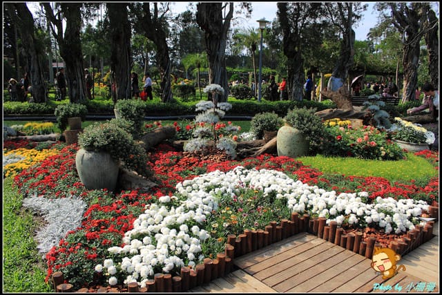 《遊記—台北》2011士林官邸菊展～菊與詩的對話