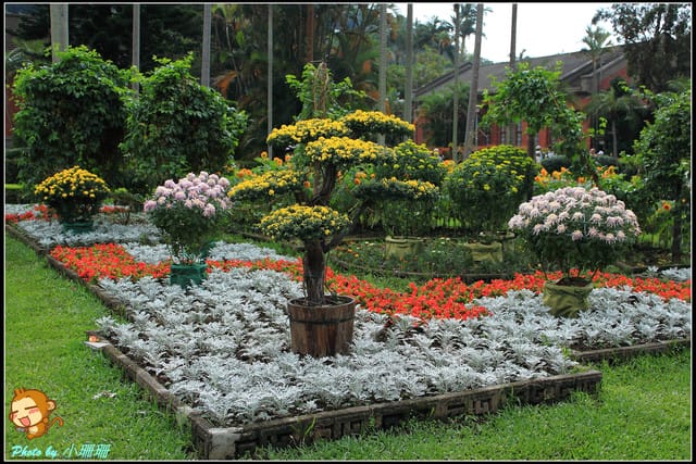 《遊記—台北》2011士林官邸菊展～菊與詩的對話