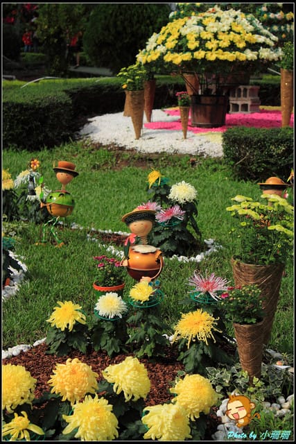 《遊記—台北》2011士林官邸菊展～菊與詩的對話